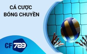 Cá Cược Bóng Chuyền