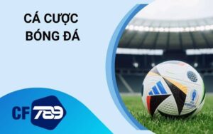 Cá cược bóng đá