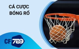 Cá Cược Bóng Rổ