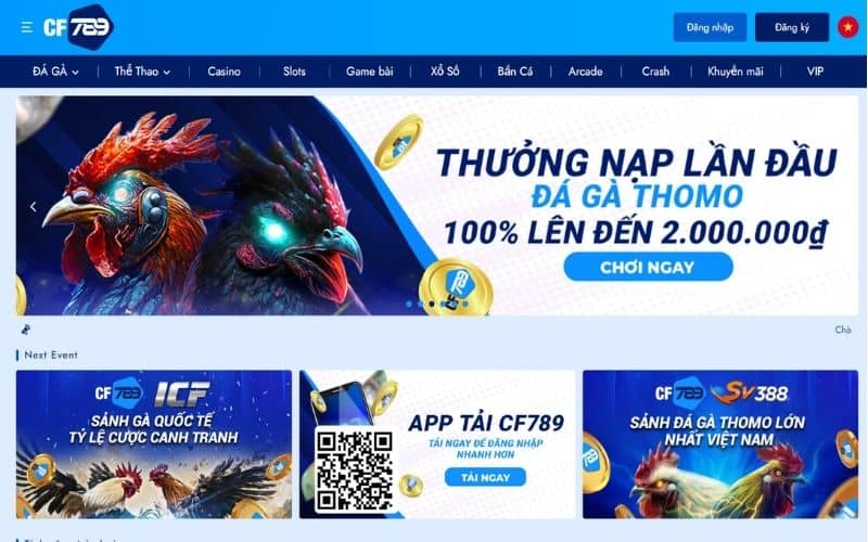 CF789 là trang đá gà uy tín hàng đầu CF789 là trang đá gà uy tín hàng đầu