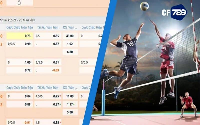 Kèo cược phong phú và hấp dẫn Kèo cược phong phú và hấp dẫn