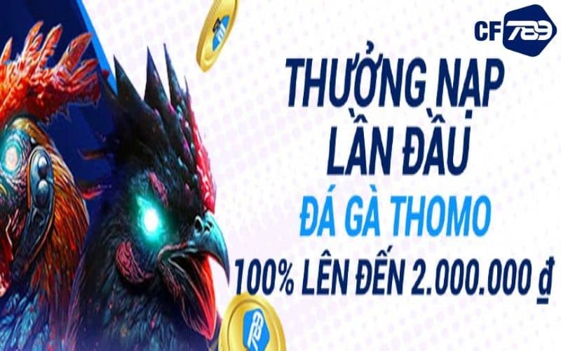 Khuyến mãi đá gà gửi tiền lần đầu Khuyến mãi đá gà gửi tiền lần đầu
