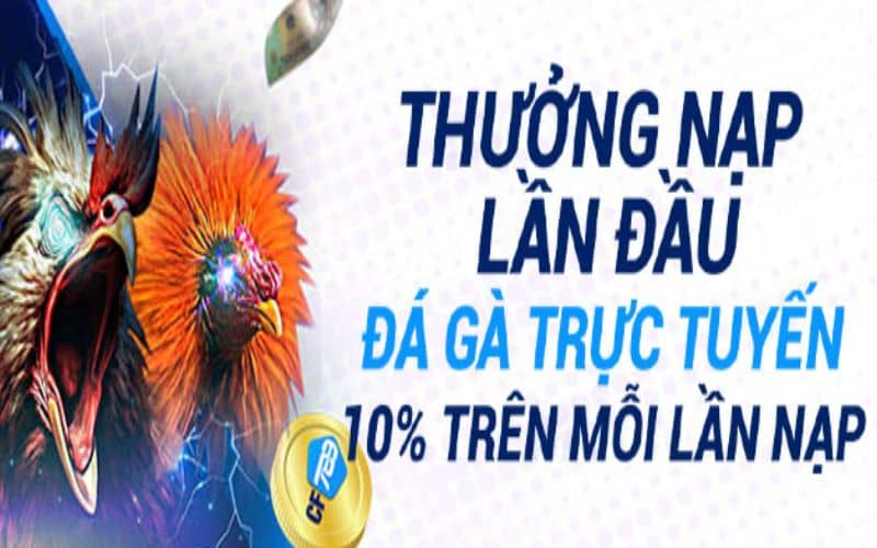 Khuyến mãi đá gà tại CF789 cực hấp dẫn Khuyến mãi đá gà tại CF789 cực hấp dẫn