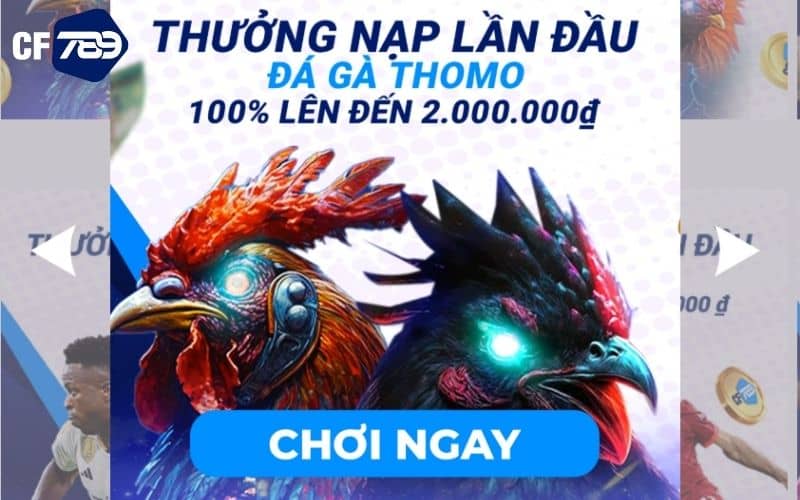 Khuyến mãi lần đầu nạp tiên đá gà tại CF789 Khuyến mãi lần đầu nạp tiên đá gà tại CF789