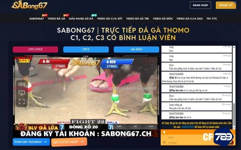 SaBong67 trang chuyên về đá gà trực tiếp Thomo SaBong67 trang chuyên về đá gà trực tiếp Thomo