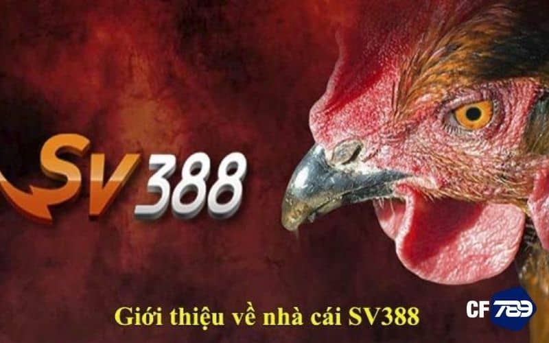 Thông tin về nhà cái SV388 Thông tin về nhà cái SV388