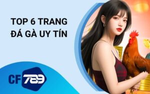 TOP 6 trang đá gà uy tín
