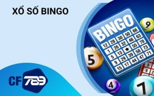 Xổ Số Bingo