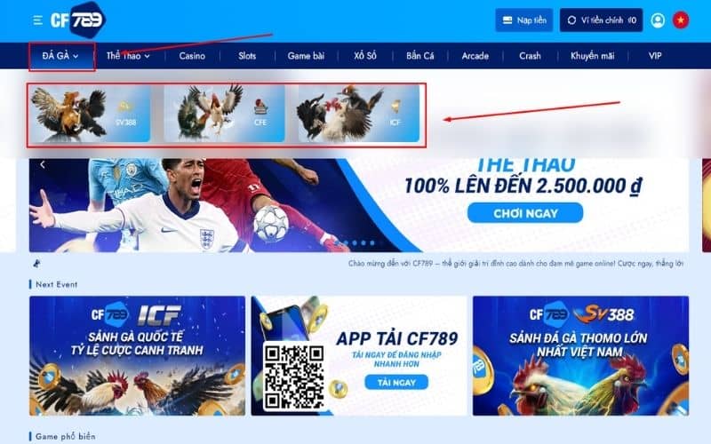 Hướng dẫn các bước chơi đá gà cựa sắt tại CF789 Hướng dẫn các bước chơi đá gà cựa sắt tại CF789